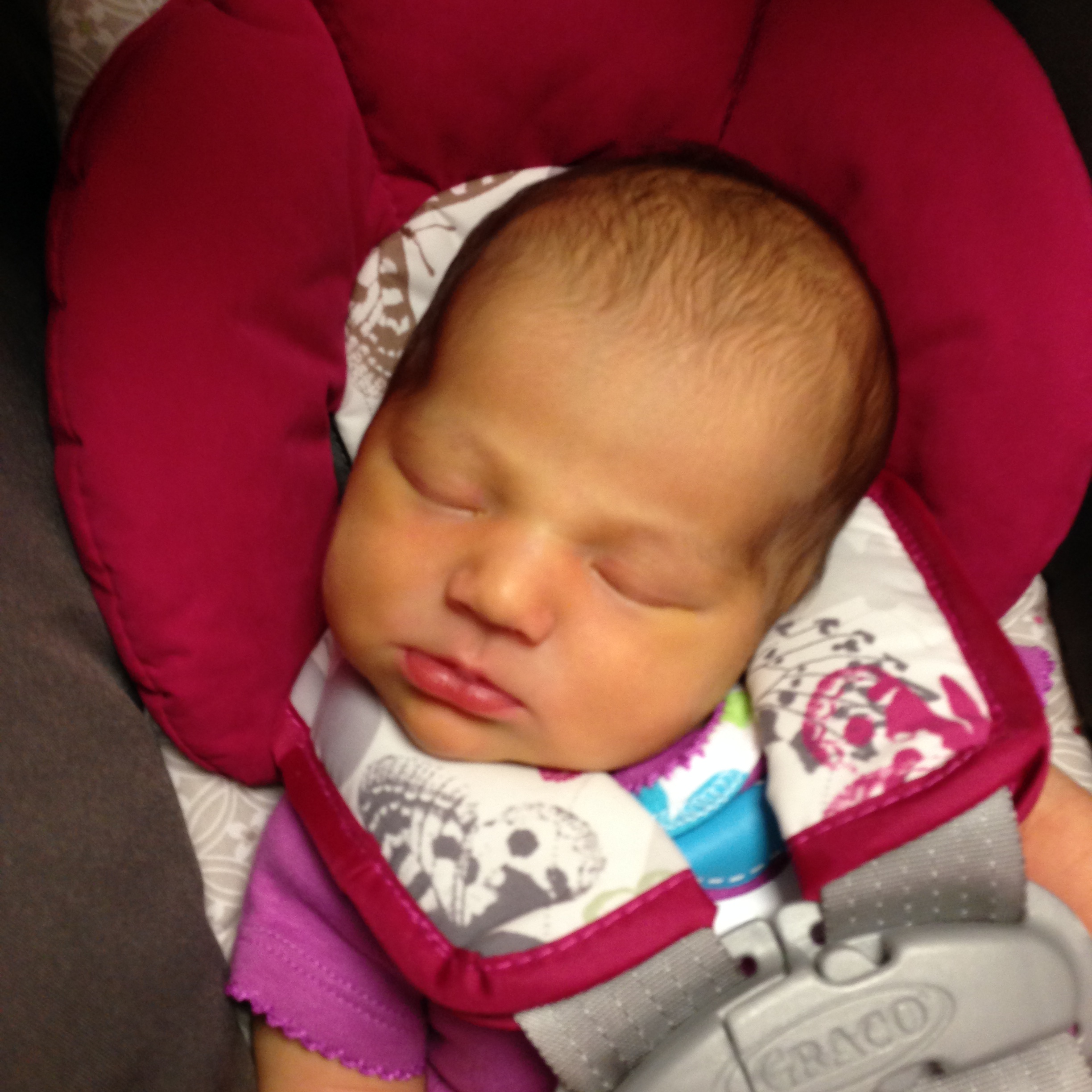 Gainesville Urologist Provides Unique Niche for Microscopic Vasectomy